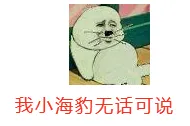 我小海豹无话可说