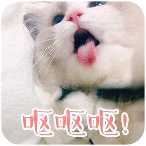 呕呕