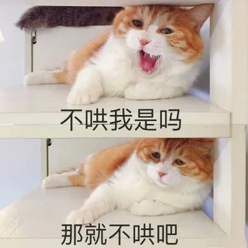 分享一波猫猫