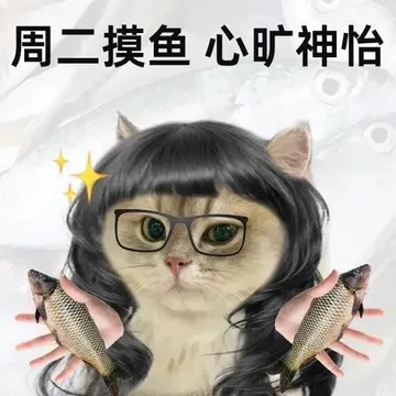 周二摸鱼心旷神怡