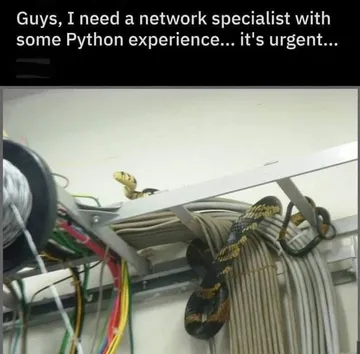 Network Specialist With Python Experience