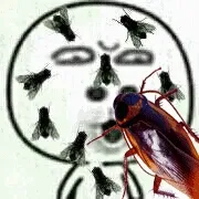 我艹，脸爬满了苍蝇和一只大蟑螂