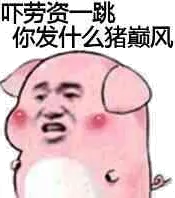 号劳资一跳.你发什么猪巅风!(红猪)