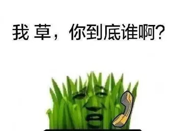 一点都不好笑真的。