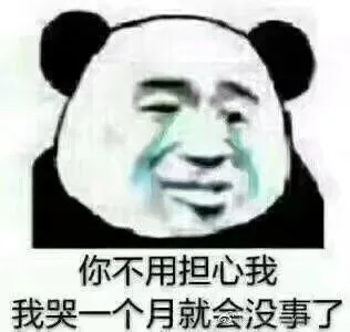 你不用担心我 我哭一个月就会没事了