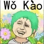 海贼王索洛:Wo Kao