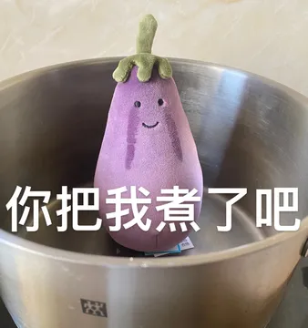 你把我煮了吧