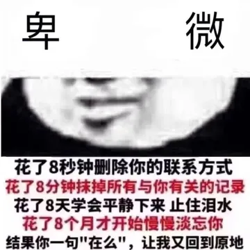 卑微(熊猫)