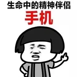 生命中的精神伴侣 手机
