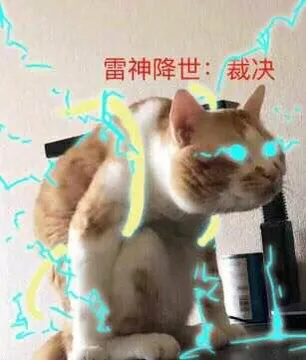 雷神降世.裁决