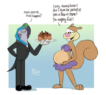 Parrot With Pregnant Sandy Cheeks