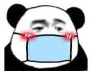 熊猫人戴蓝色口罩