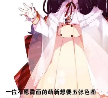 一位不愿露面的萌新想要五张色图
