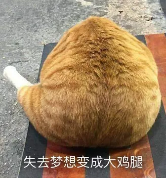 失去梦想变成大鸡腿（小猫）