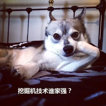 挖掘机技术谁家强？