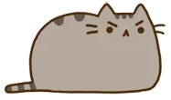 小猫