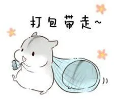 仓鼠小猫