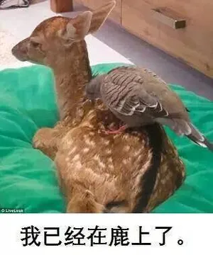 我已经在路上了