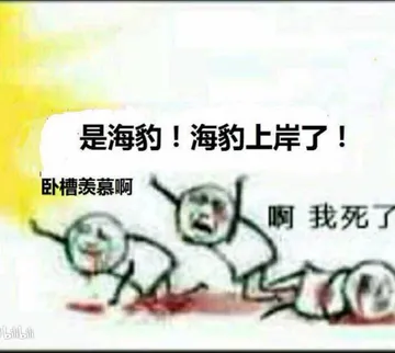 卧槽羡慕啊!是海豹!海豹上岸了!啊.我死了!