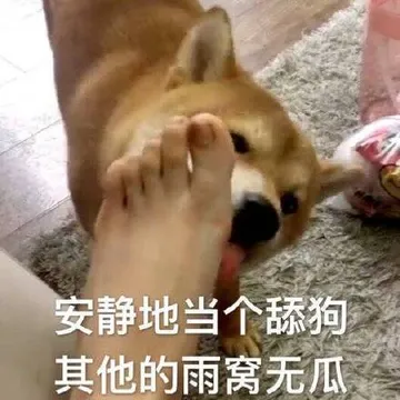 安静地当个舔狗.其他的雨窝无瓜