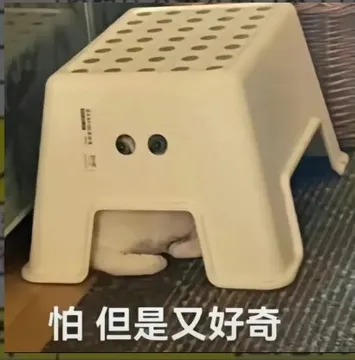 怕但是又好奇