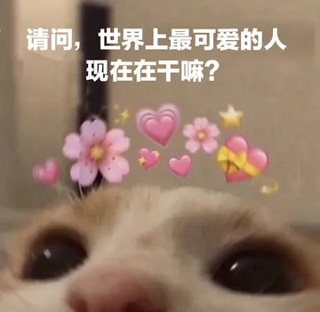 请问,世界上最可爱的人现在在干嘛?