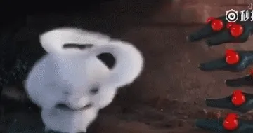 机密兔大吼