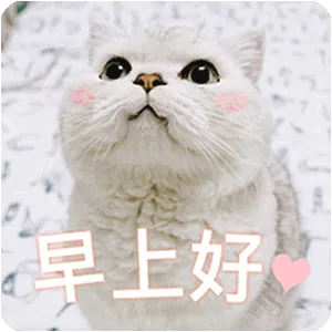 早上好