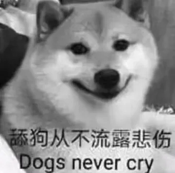 添狗从不流露悲伤.Dogs never cry