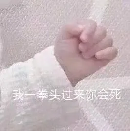 我拳头过来你会死