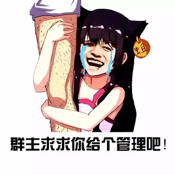 群主求求你给我个管理吧！（妹子抱大腿）