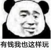 有钱我也这样玩
