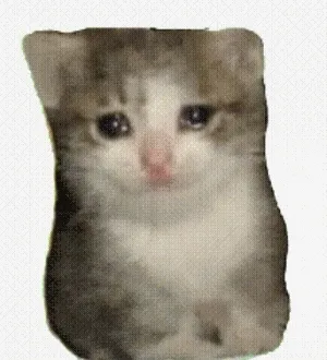 哭泣流泪小猫表情包