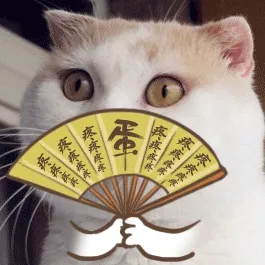 喵咪眨眼