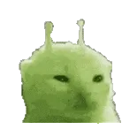 外星小猫gif表情包