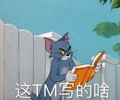 这TM写的啥