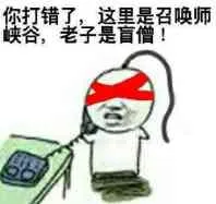 你打错了.这里是召唤师峡谷.老子是盲僧!