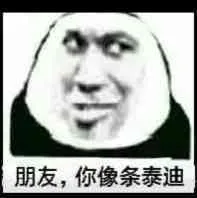 朋友.你像条泰迪