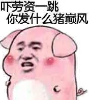 号劳资一跳，你发什么猪巅风！（红猪）