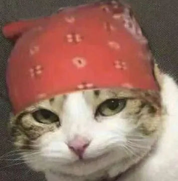 香蕉猫头