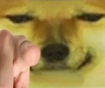 doge 指人
