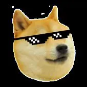 Deal with it Doge
