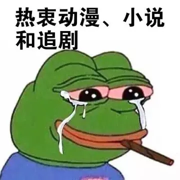 热衷动漫，小说和追剧