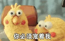 鹦鹉00002-你必须宠着我