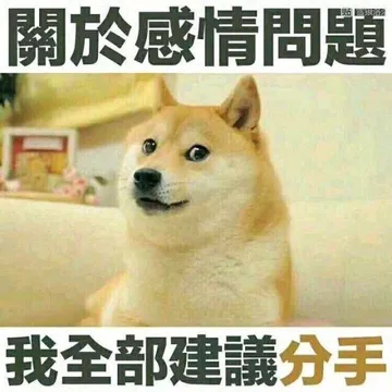 关于感情问题我全部建议分手