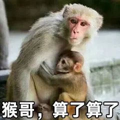 猴哥.算了算了