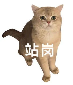 站岗