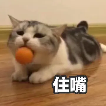 住嘴