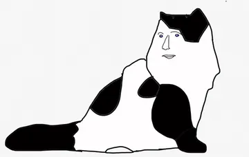 Meme cat 2.0