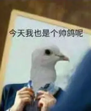 今天我也是个帅鸽呢